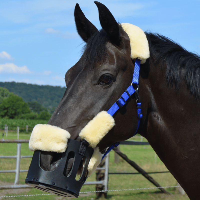 Diverse bontje kunnen schuurplekken van het AS graasmasker voorkomen