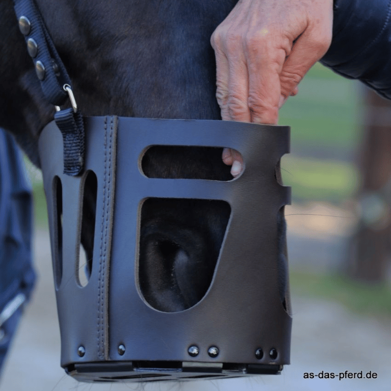 Het AS das Pferd graasmasker past als er minimaal 3 vingers tussen passen