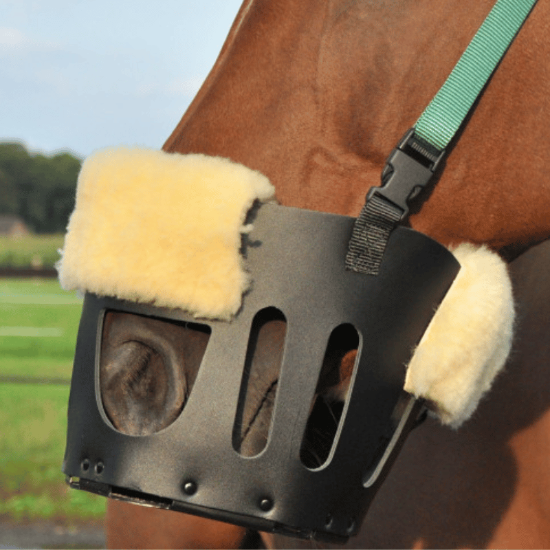 Lederen graasmasker van AS das Pferd met neusbontje