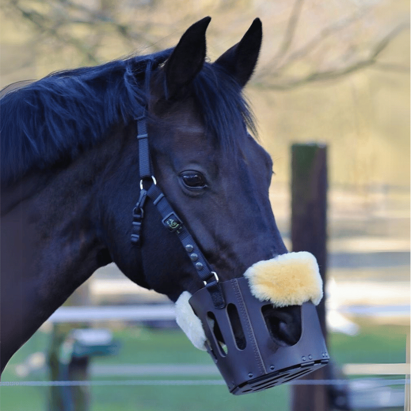 Paard met AS das Pferd graasmasker met zwart halster en bontjes.