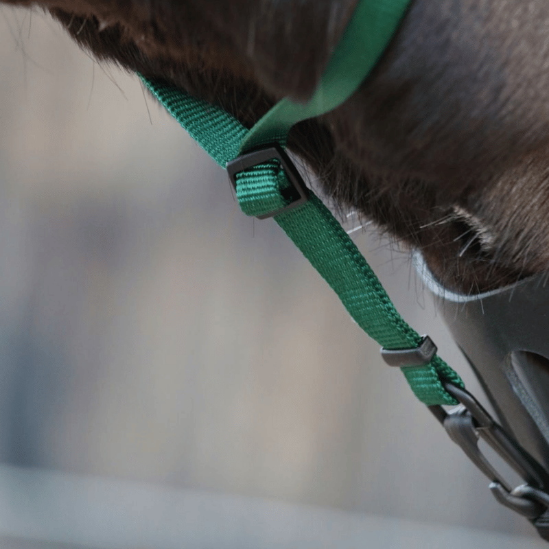 Keelriem met schuifpassant om goed te kunnen afstellen