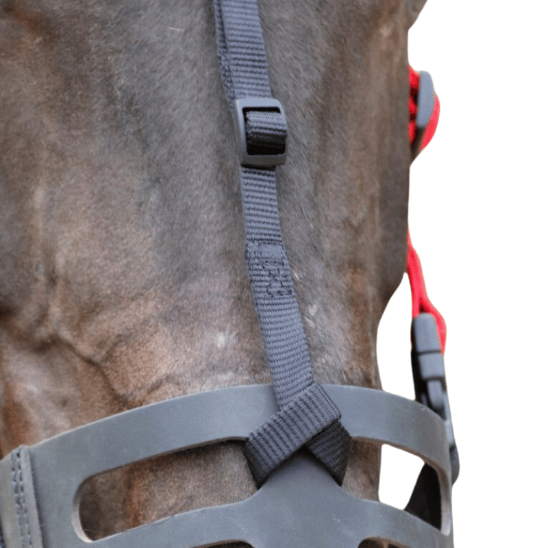 Je bevestigd de neusriem door middel van een lus om het graasmasker. Met de passant maak je de riem op maat.