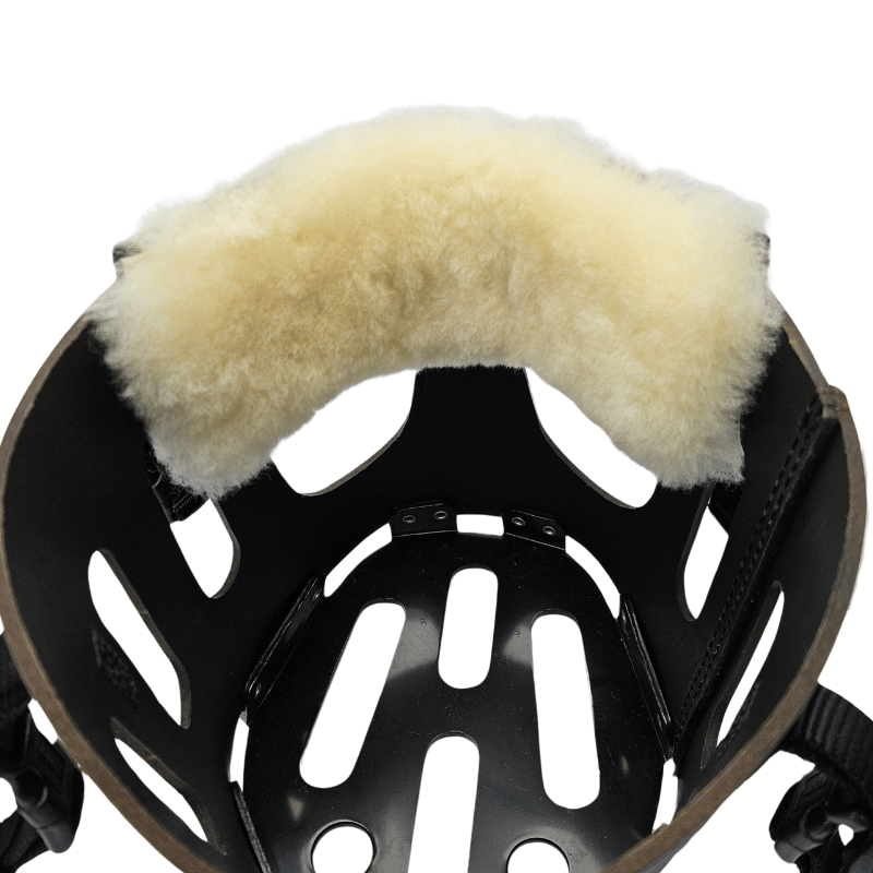 Christ neusbontje voor AS das pferd graasmasker voorkomt schuurplekken.