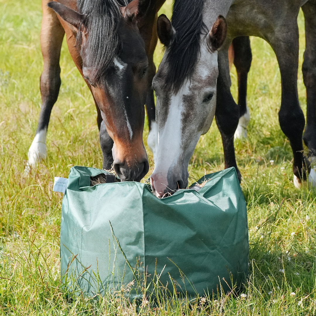 paarden eten uit natural kub hooikubus