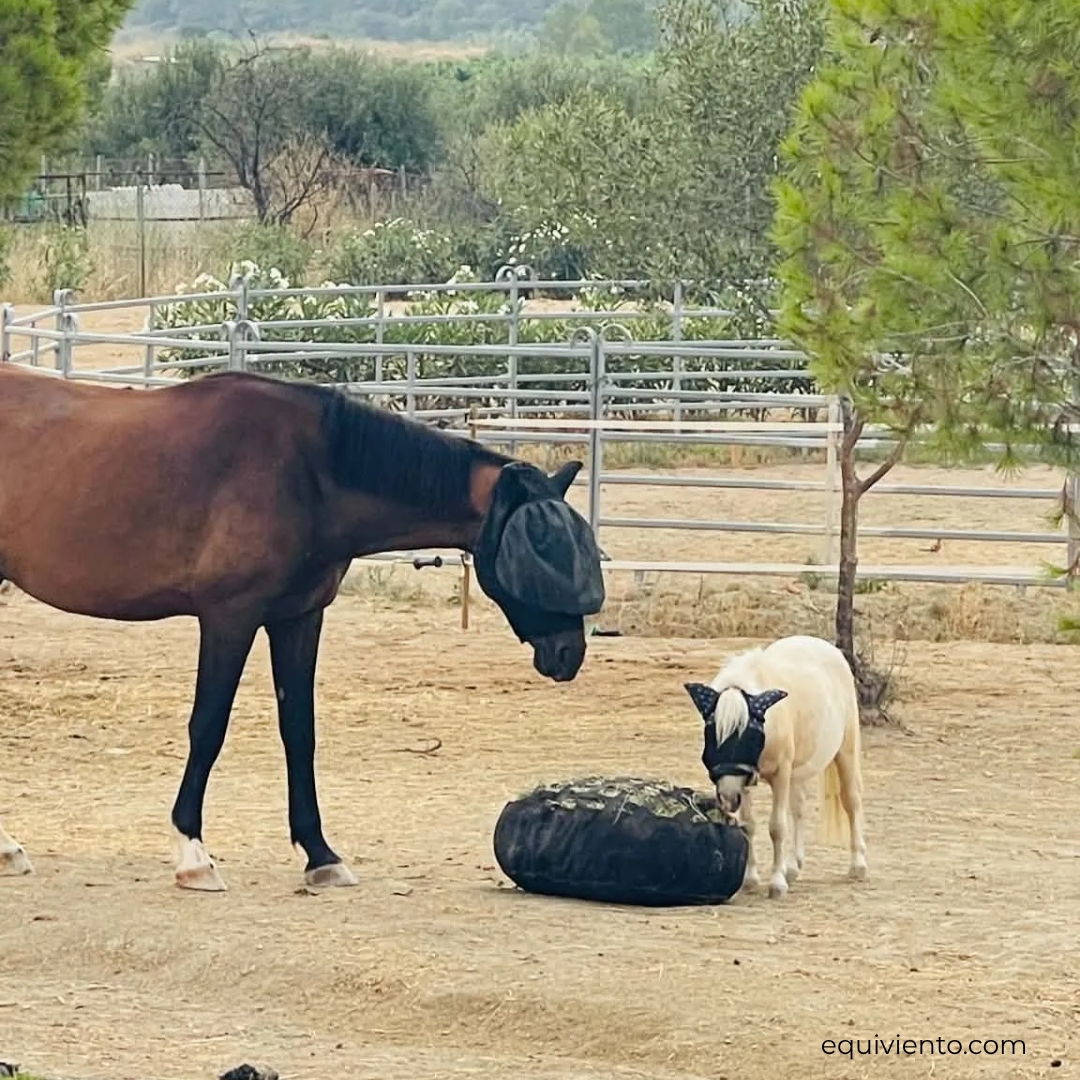 HayNest Large - Equiviento - maas 6 cm