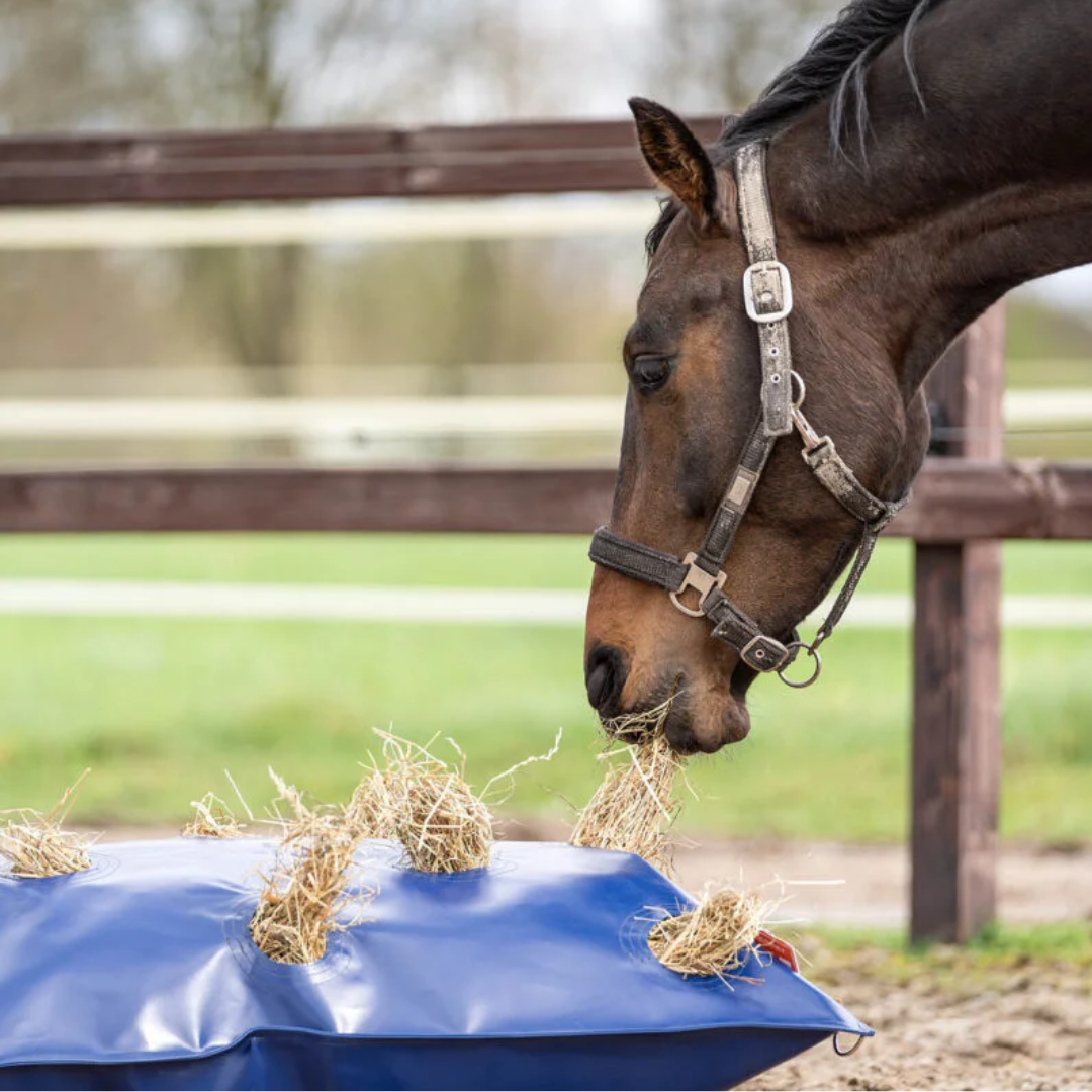 paard eet uit hayplay button bag in paddock