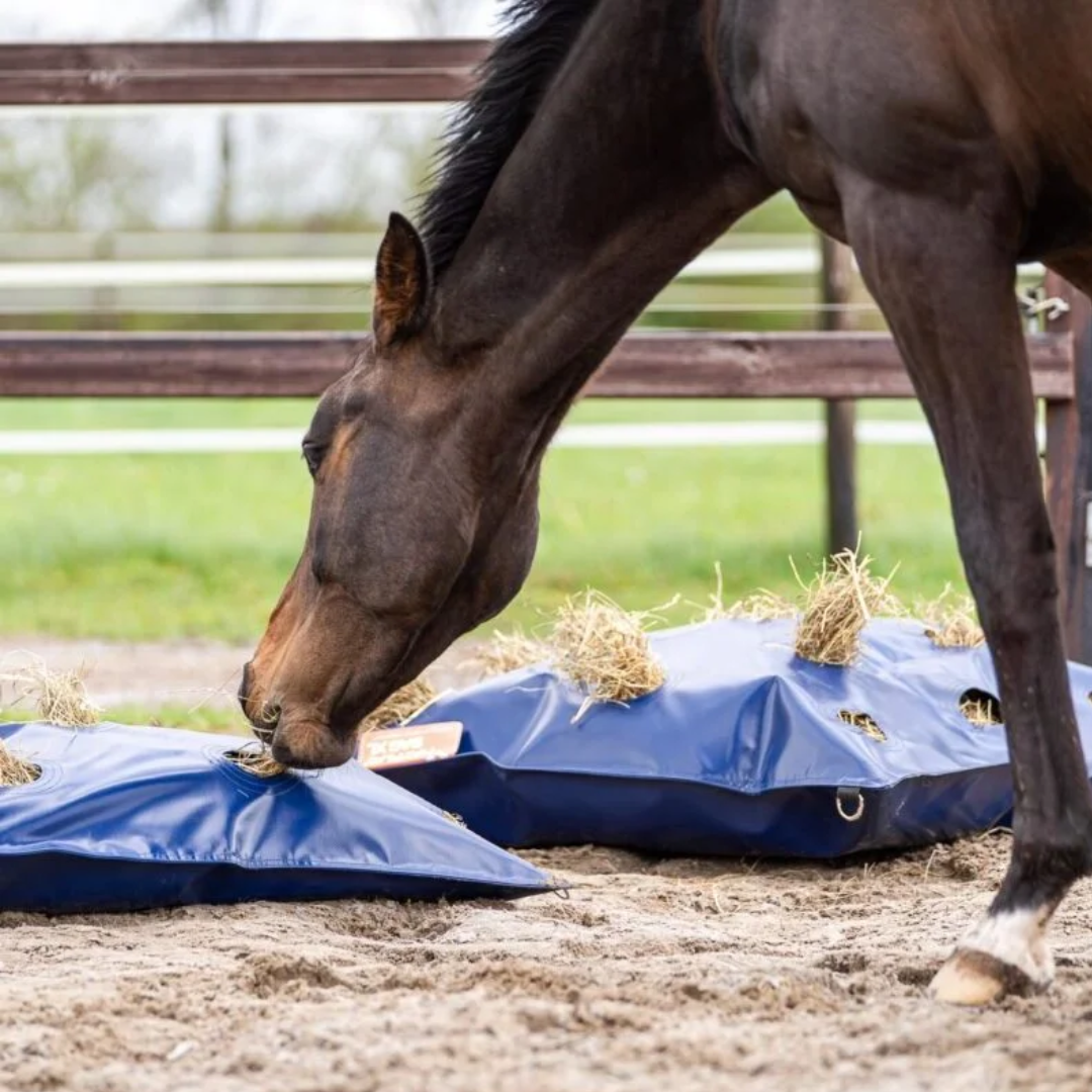 Hayplay Buttonbag in paddock