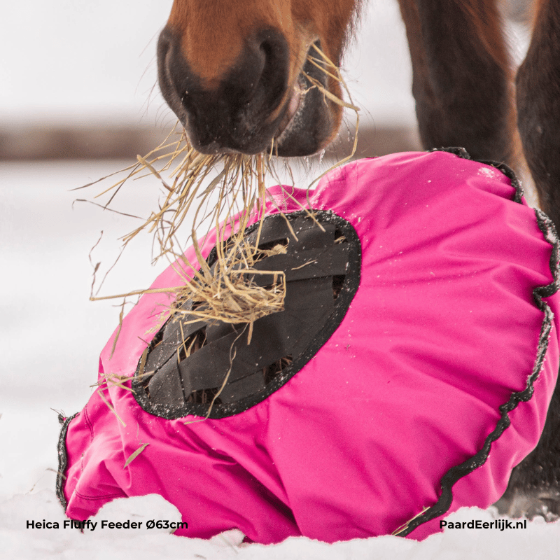 Paard in de sneeuw eet hooi uit roze heica fluffy feeder