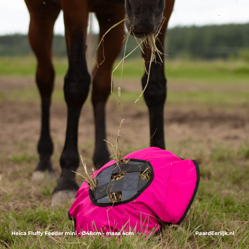 Paard in de wei eet uit heica fluffy feeder.