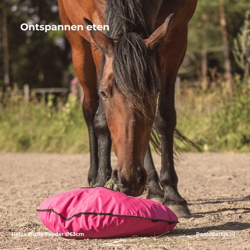 Paard Eet ontspannen uit heica fluffy feeder
