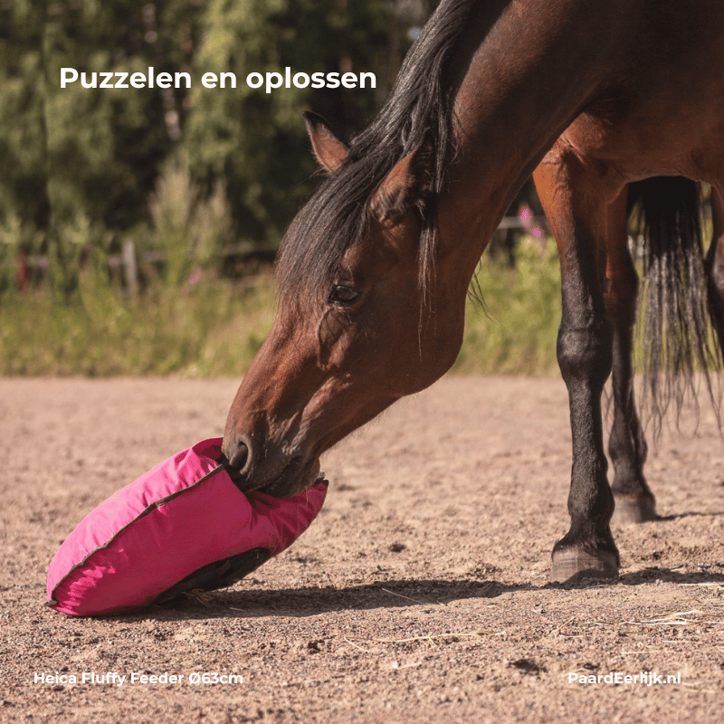 Paard speelt met een heica fluffy feeder hooikussen