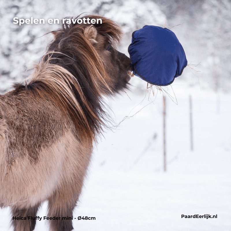 Pony speelt met heica fluffy feeder mini in de sneeuw