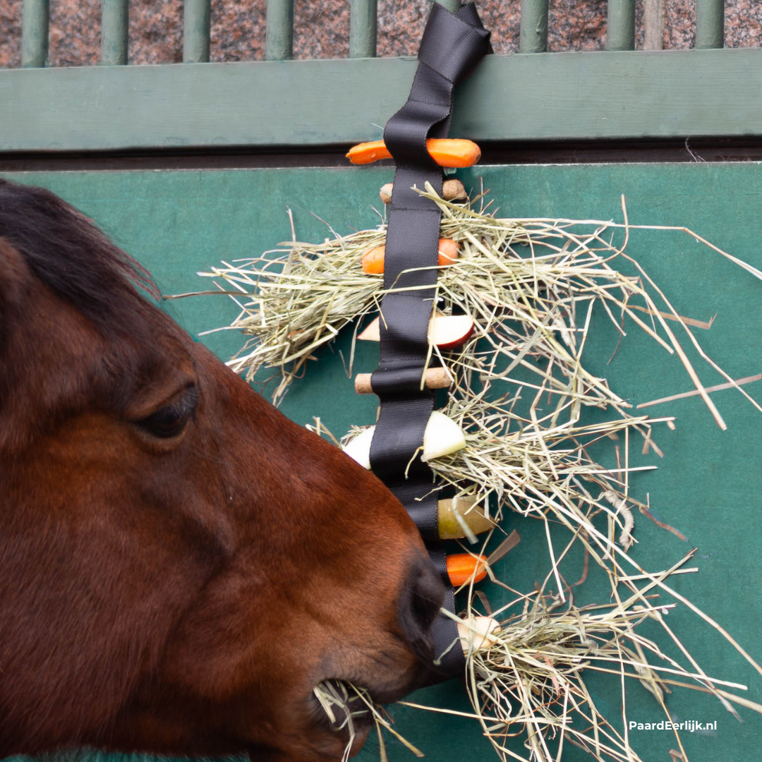 snack-band voor paarden