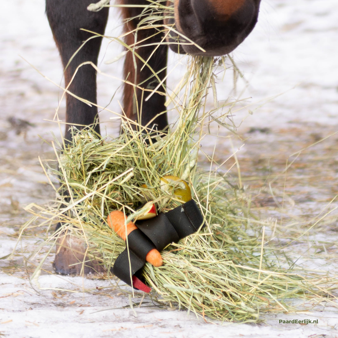 Heica tuck n treat verrijkingsband