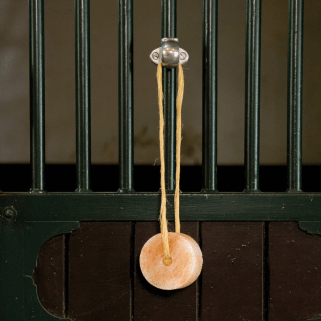 Veilige ophanghaak voor in stal