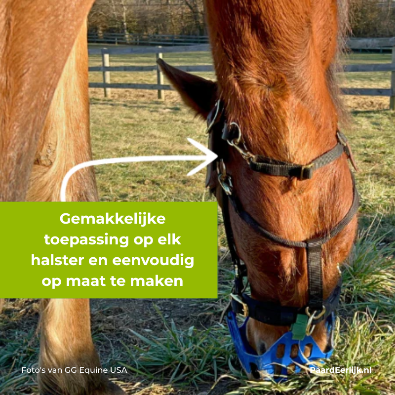 paard met graasmasker en losse keelriem