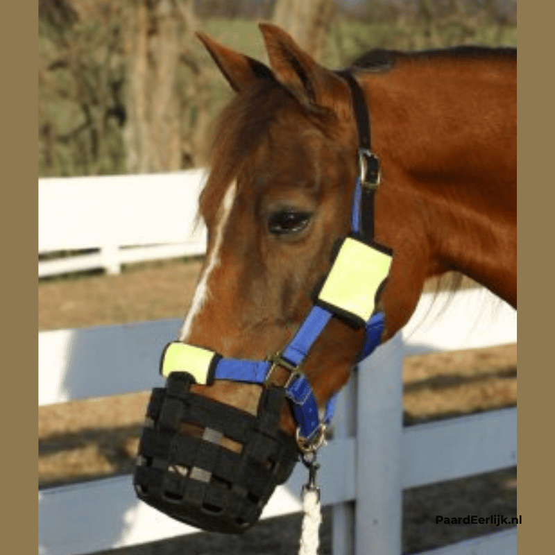 Paard met halster en graasmasker met daarbij muzzle mates ter bescherming van de huid.