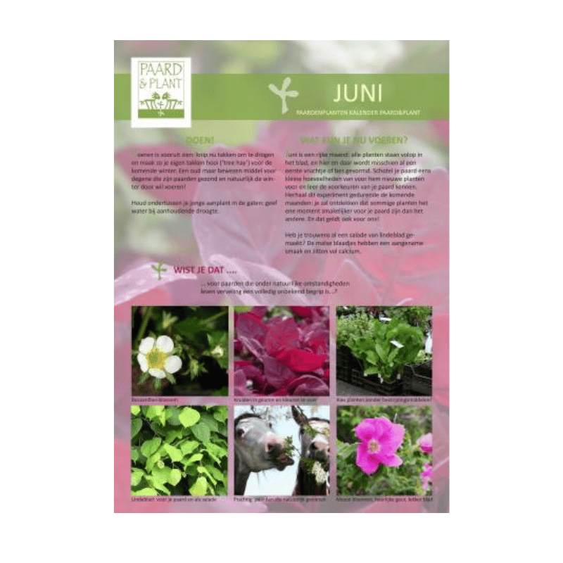 maand juni uit de Paard en Plant jaar kalender