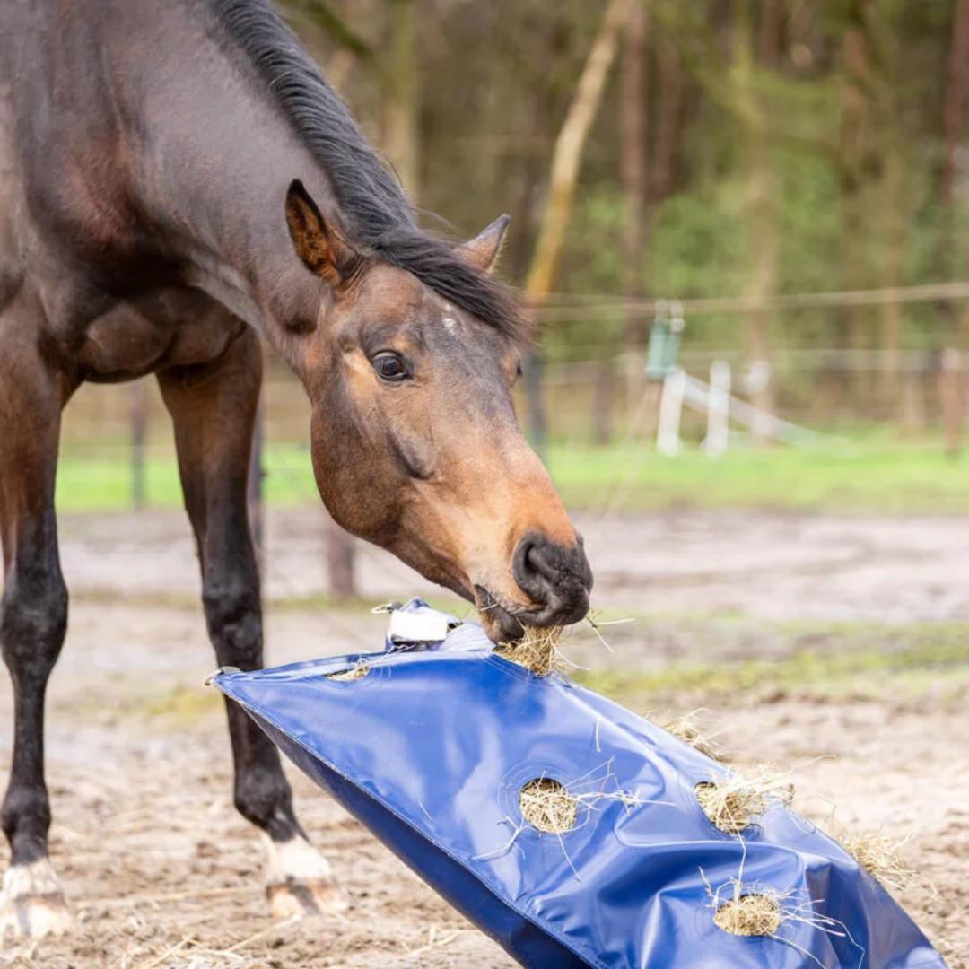 paard speelt met de hayplay bag slowfeeder