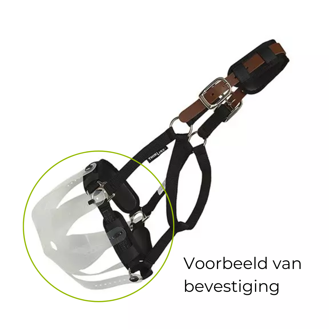 Hoe bevestig je het thinline graasmasker aan een halster