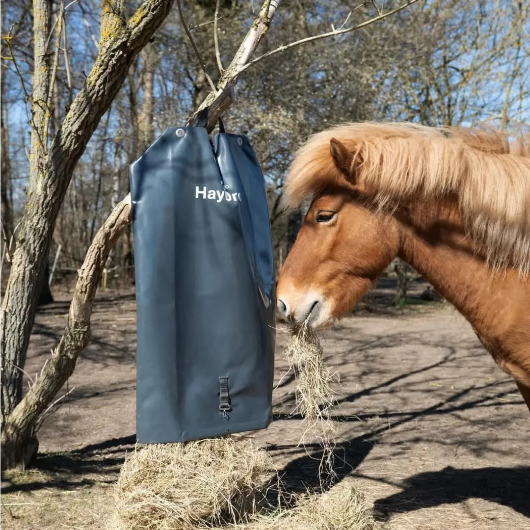 paard-met-haydrop