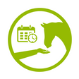 vervolg advies paardenvoeding