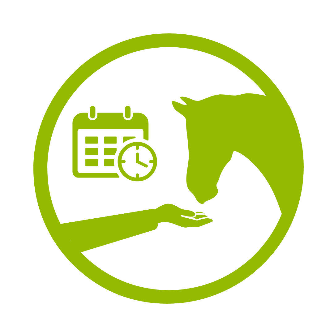 vervolg advies paardenvoeding