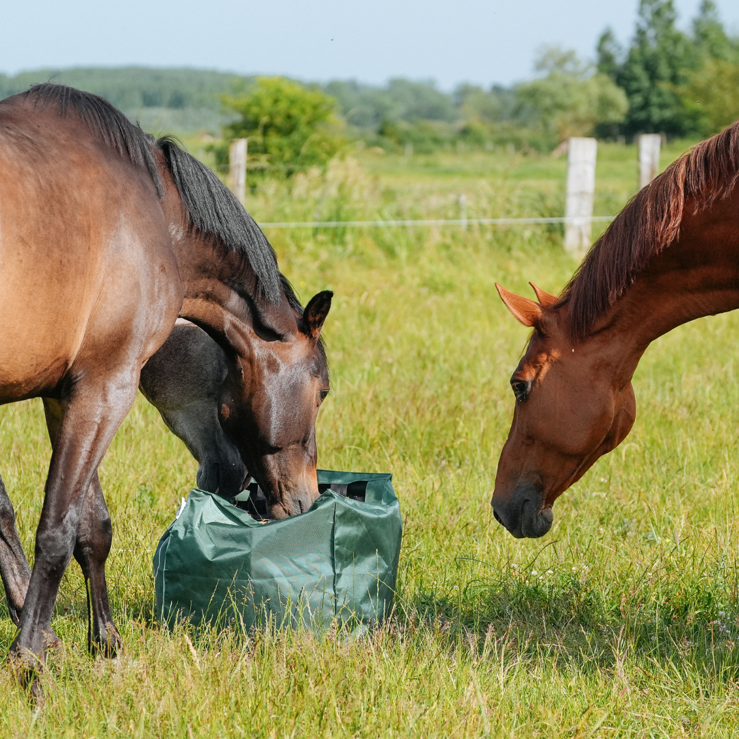 Hooikussen voor paarden