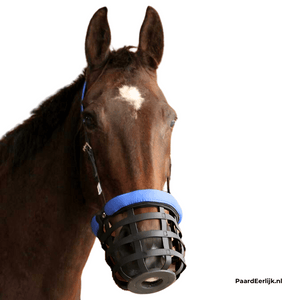Dit paard draagt de easygrazer en beschermt hem tegen te veel gras. Hierdoor worden koliek of andere gezondheidsklachten voorkomen.