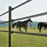 Gallagher terra‑kleurig schriklint in natuurlijke omgeving, combineert duurzame kwaliteit, functionaliteit met mooie uitstraling