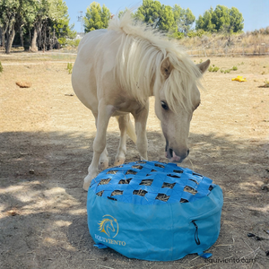 HayNest-small-met-pony