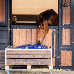 Hayplay button bag in hooibak