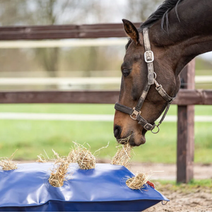 paard eet uit hayplay button bag in paddock