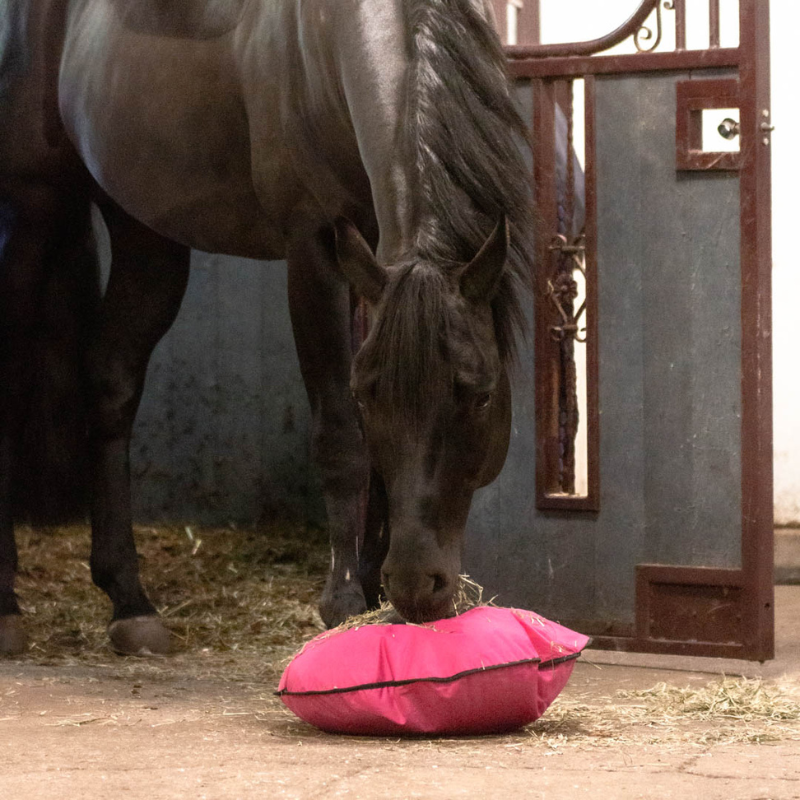 Heica-Fluffy-Feeder-in-stal