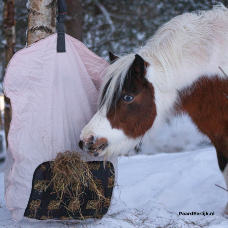 Heica Saggy met pony
