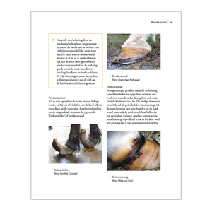 Pagina 65 uit hoefbevangenheid begrijpen, genezen en voorkomen van Remco Sikkel