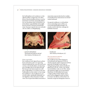 pagina 40 van het boek over hoefkatrol ontsteking van Remco Sikkel