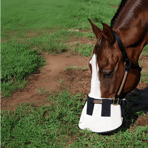 Paard graast met de beste uv-neusbeschermer voor paarden