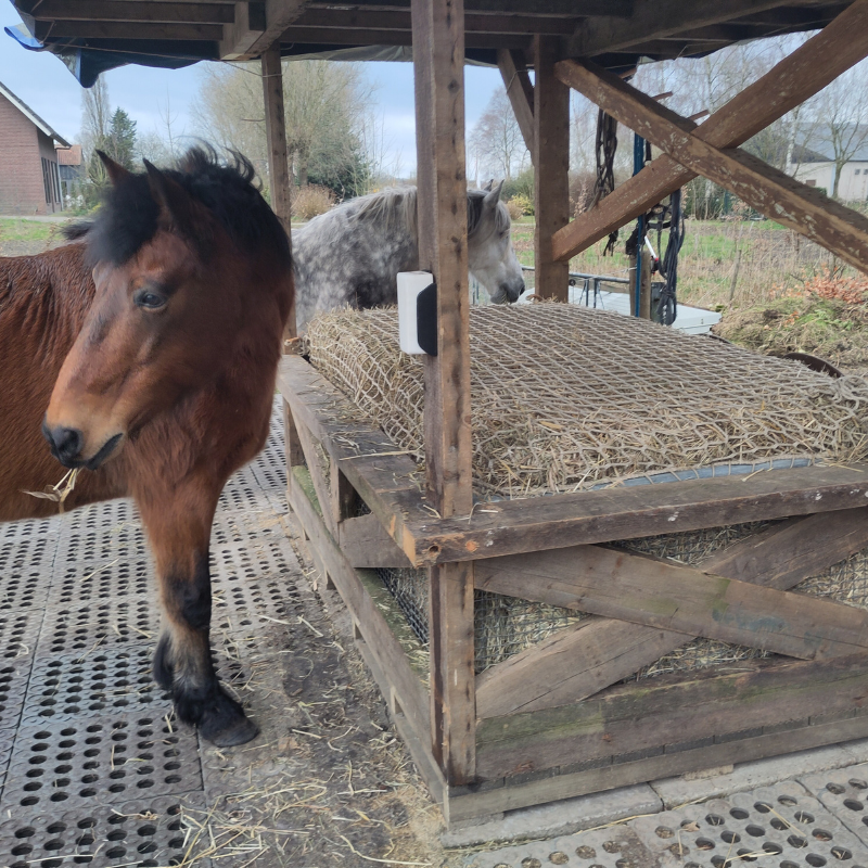 slowfeedernet op maat
