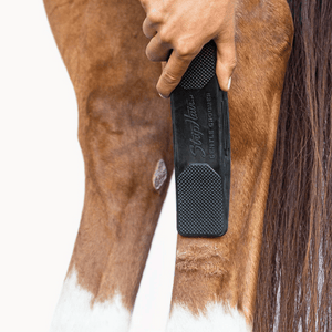 Been van een paard verzorgen met de zachtste paardenborstel voor benen StripHair