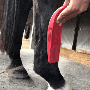 Paardenbeen verzorgen met de zachtste paardenborstel voor paarden StripHair