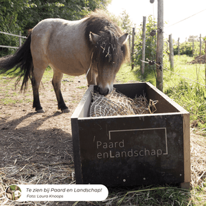 Pony eet uit een slowfeeder tunnel in een houten bak.