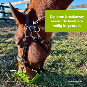 keelriem voorkomt kwijtraken graasmasker