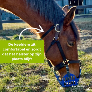 keelriem houdt graasmasker op zijn plek