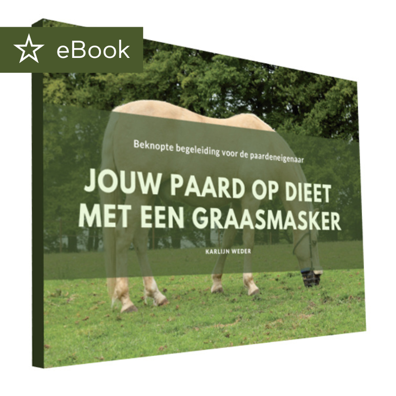 Ihr Pferd auf Diät mit Fresskorb [eBook]
