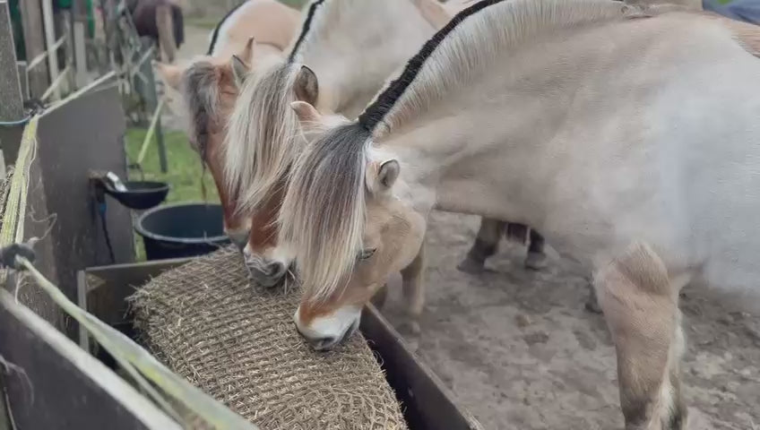 Slowfeeder voor 20kg baaltje - Extra sterk - Maas 3cm