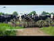Automatische weidepoort opener